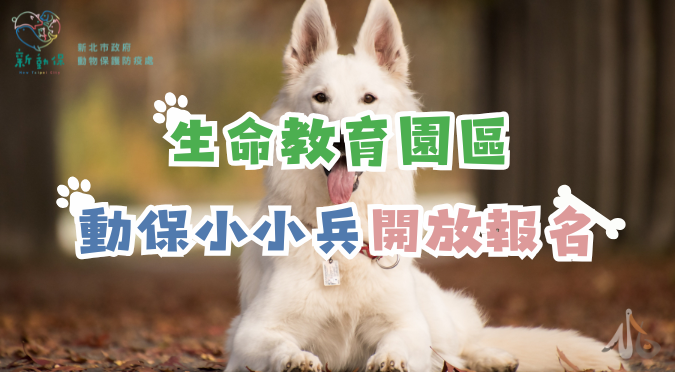 新北市動物保護防疫處 / 生命教育園區課程-動保小小兵