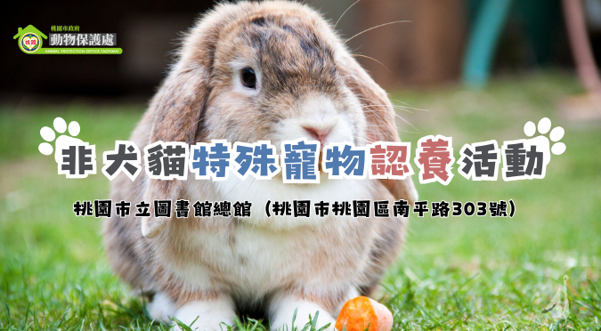 桃園市政府動物保護處/ 非犬貓特殊寵物認養活動