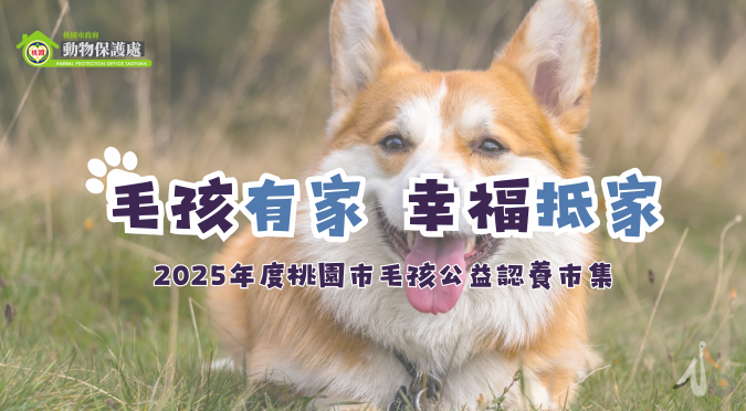 桃園市政府動物保護處/ 2025年度桃園市毛孩公益認養市集