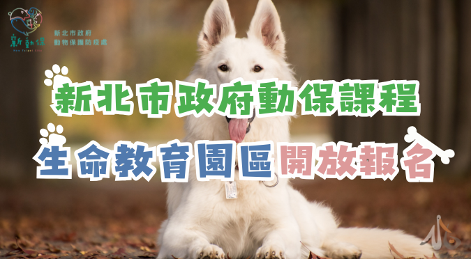 新北市動物保護防疫處 / 生命教育園區課程-動保小小兵