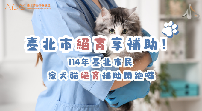 臺北市動物保護處 / 114年臺北市民家犬貓絕育補助開跑囉
