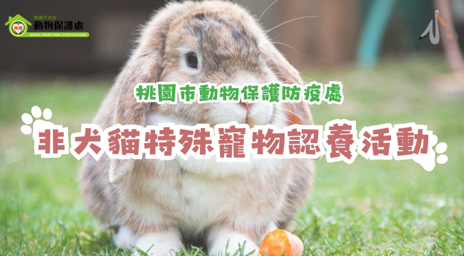 桃園市政府動物保護處/ 非犬貓特殊寵物認養活動
