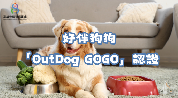 高雄市動物保護處粉絲團 / 好「伴bàn」狗狗培訓「OutDog GOGO」認證系列課程