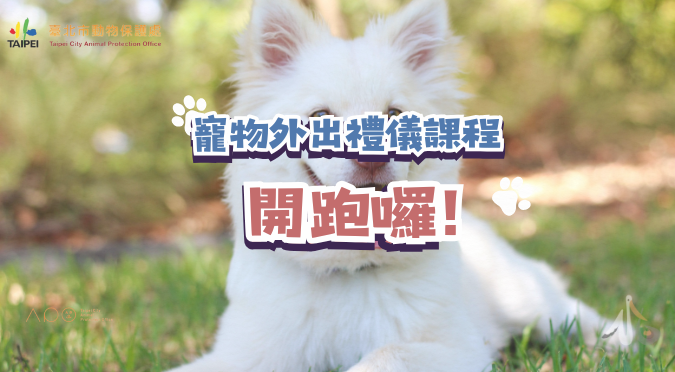 臺北市動保處／寵物外出禮儀課程開跑囉