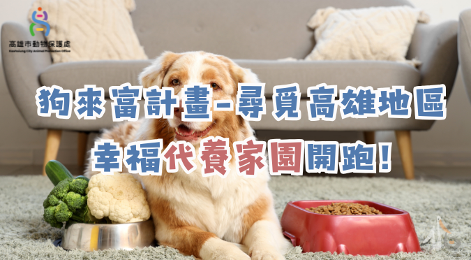 高雄市動物保護處 /狗來富計畫-尋覓高雄地區幸福代養家園開跑!