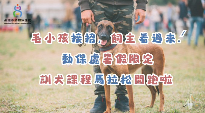 高雄市動物保護處／暑假限定｜訓犬課程馬拉松開跑啦