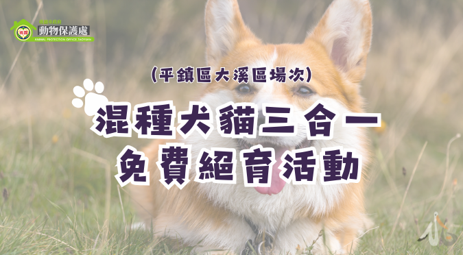桃園市政府動物保護處/114年7月份委託社團法人中華動物福祉國際交流協會辦理偏郊區域推廣混種犬貓三合一免費絕育活動