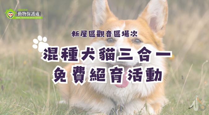 桃園市政府動物保護處/114年8月份委託社團法人中華動物福祉國際交流協會辦理偏郊區域推廣混種犬貓三合一免費絕育活動