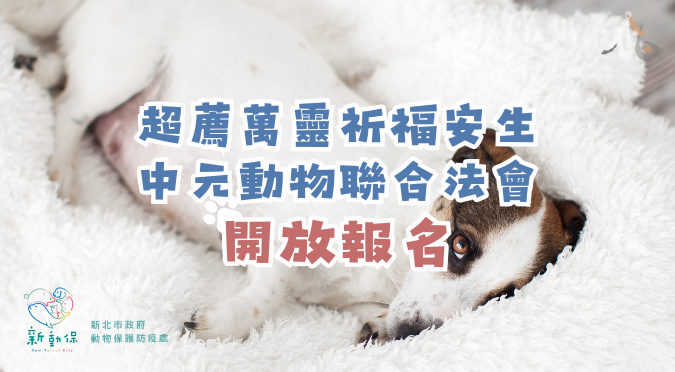 新北市動物保護防疫處 / 超薦萬靈祈福安生 中元動物聯合法會開放報名
