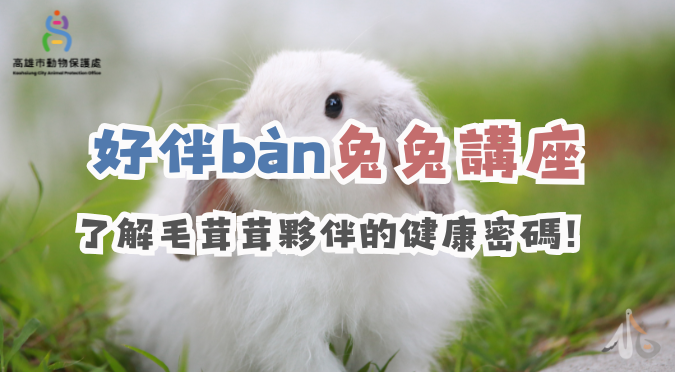 高雄市動物保護處粉絲團 / 好伴bàn兔兔講座：了解毛茸茸夥伴的健康密碼！