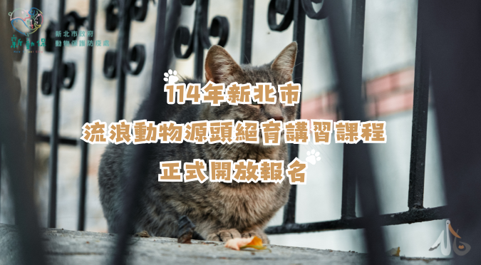 新北市動物保護防疫處 / 14年新北市流浪動物源頭絕育講習課程正式開放報名