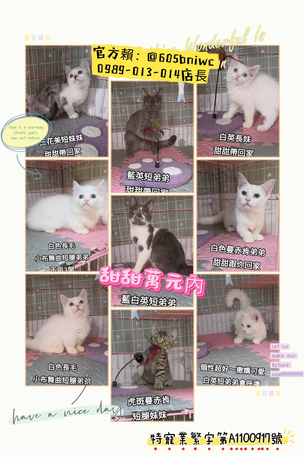 刻在你心底的貓／各品種貓