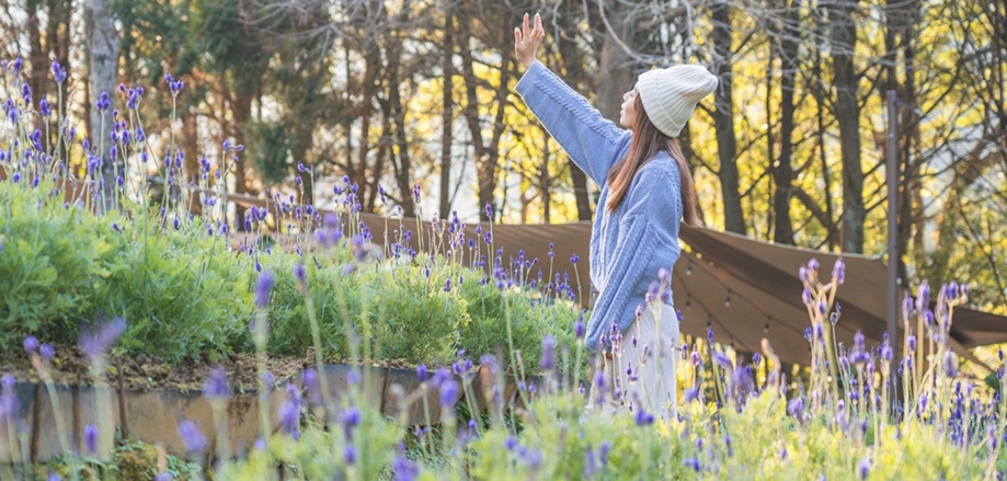 『汪喵揪了走』新竹薰衣草森林 – 精緻攝影寫真團