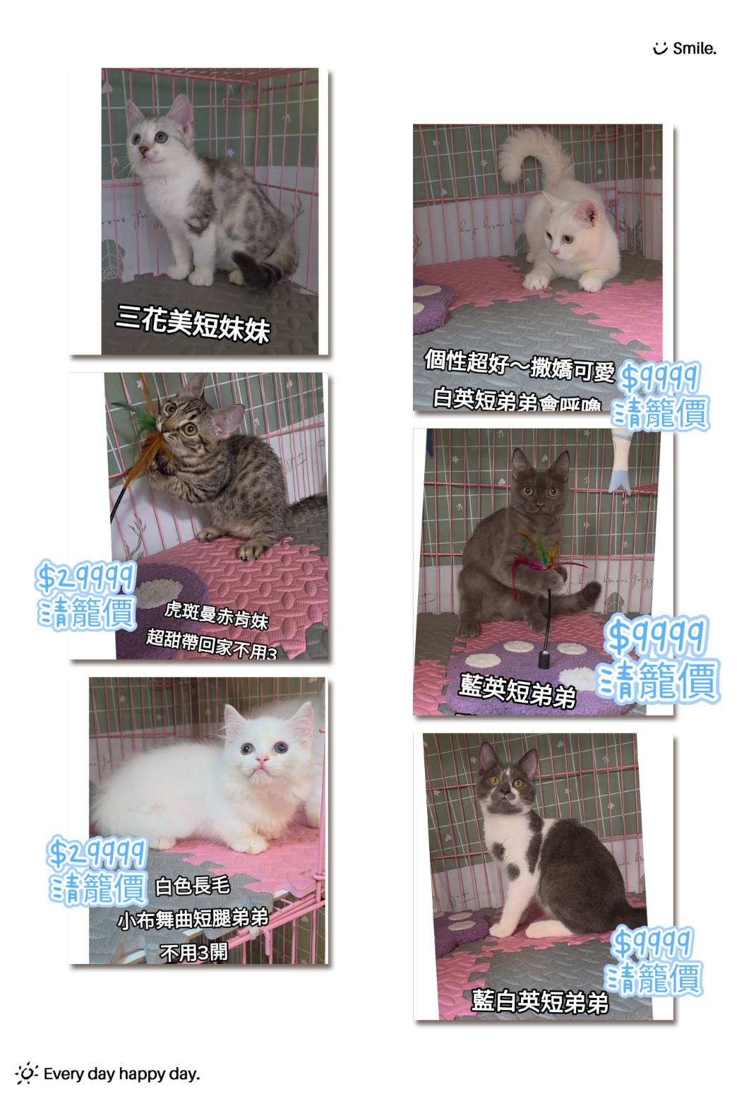 刻在你心底的貓／各品種貓