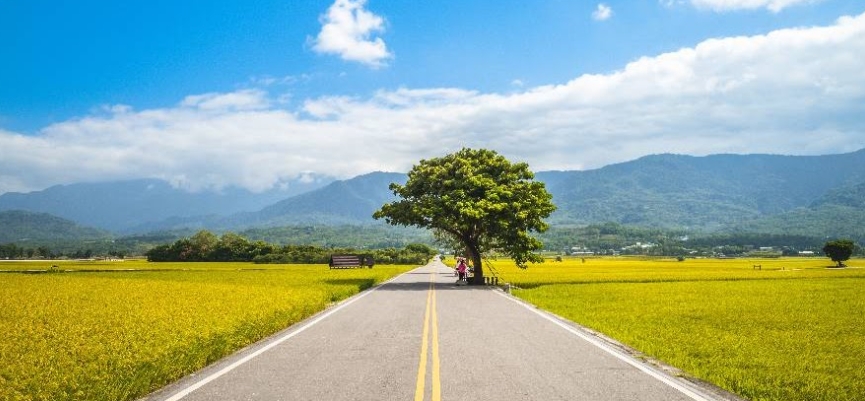 『汪喵揪了走』花東慢行 山海療癒三日遊