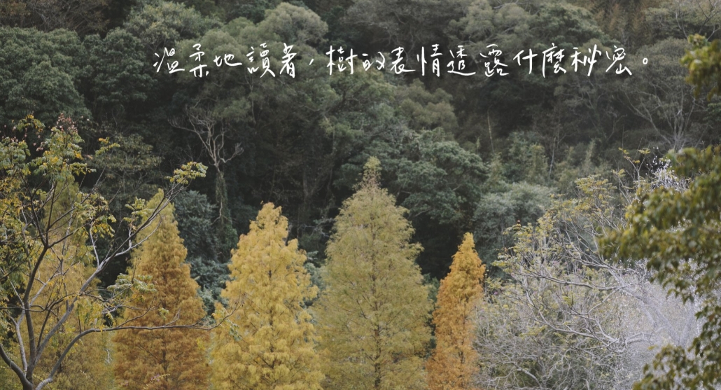 『汪喵揪了走』新竹落羽松披薩野餐一日遊