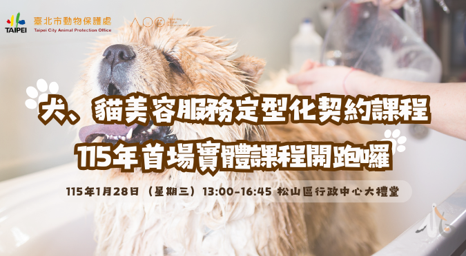 臺北市動保處／犬、貓美容服務定型化契約課程｜今(115)年首場實體課程開跑囉