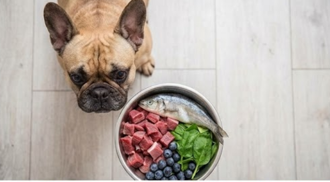 冷凍肉就沒細菌？打破寵物生食殺菌的低溫迷思與正確處理SOP