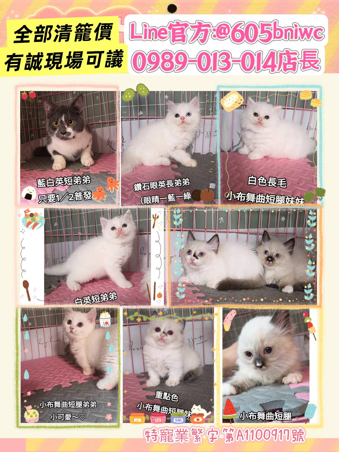 刻在你心底的貓／各品種貓