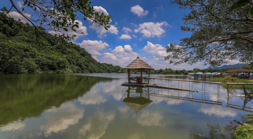 『汪喵揪了走』桃園輕放電一日遊